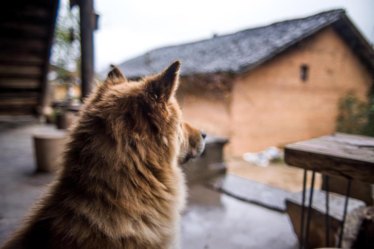 Ma Le Homestay Dong Van  Buitenkant foto