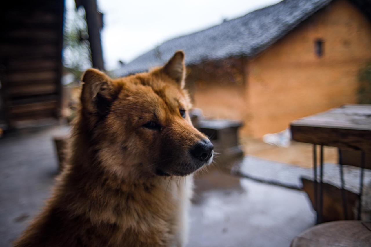 Ma Le Homestay Dong Van  Buitenkant foto